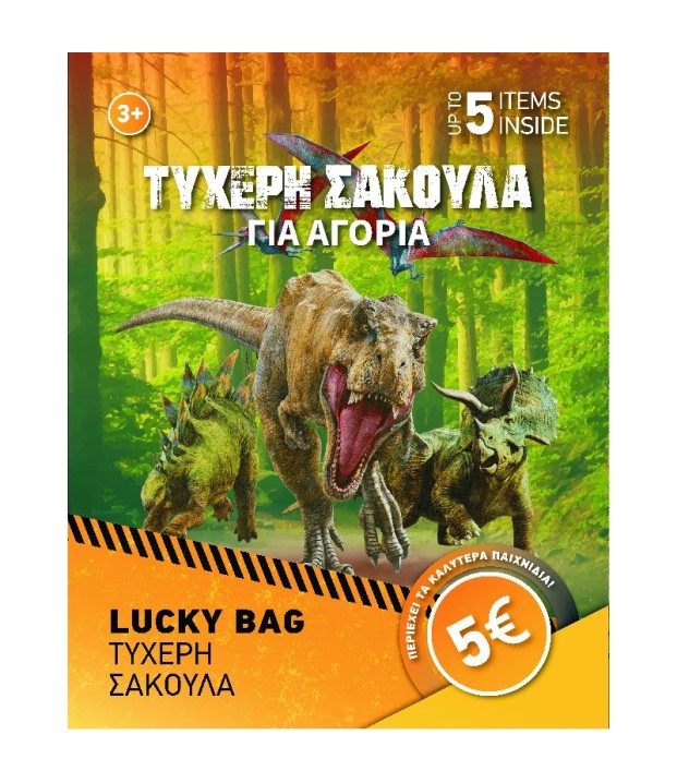 ΤΥΧΕΡΗ ΣΑΚ ΑΓΟΡΙ TOYS (5 ΕΥΡΩ) ΤΥΧΕΡΗ ΣΑΚ ΑΓΟΡΙ TOYS (5 ΕΥΡΩ)